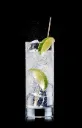 GIN TONIC